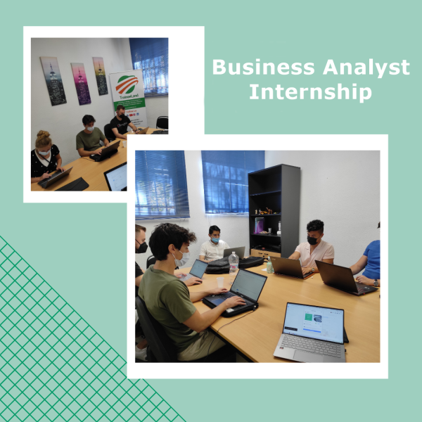 Business Analyst Internship